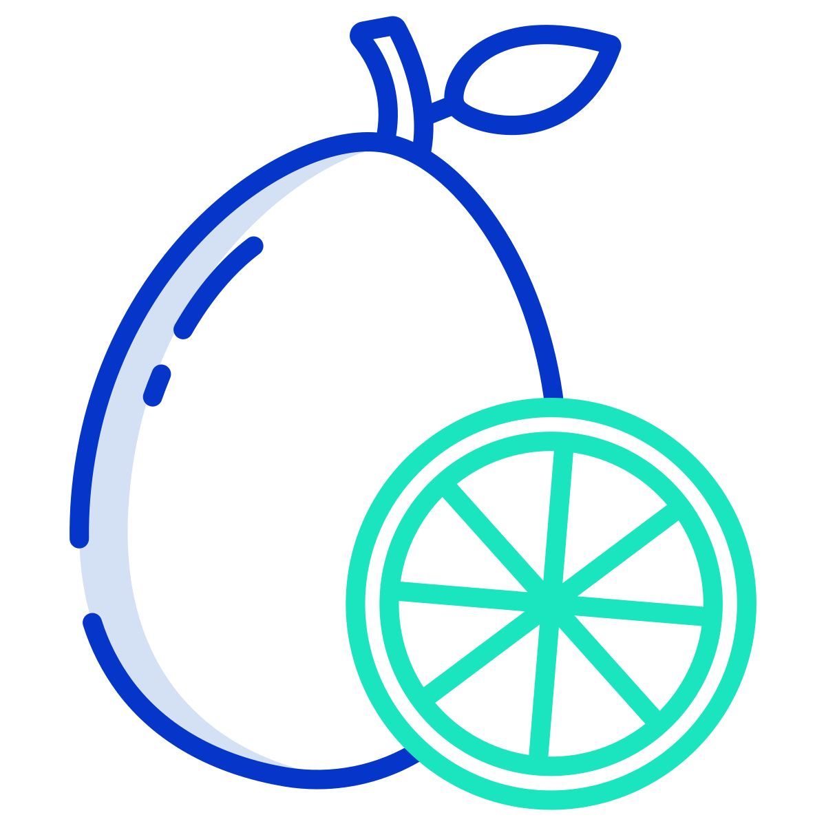 kumquat icon