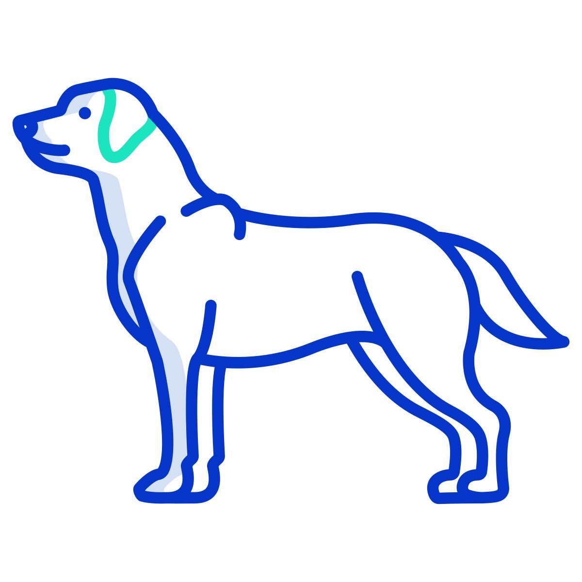 labrador retriever icon