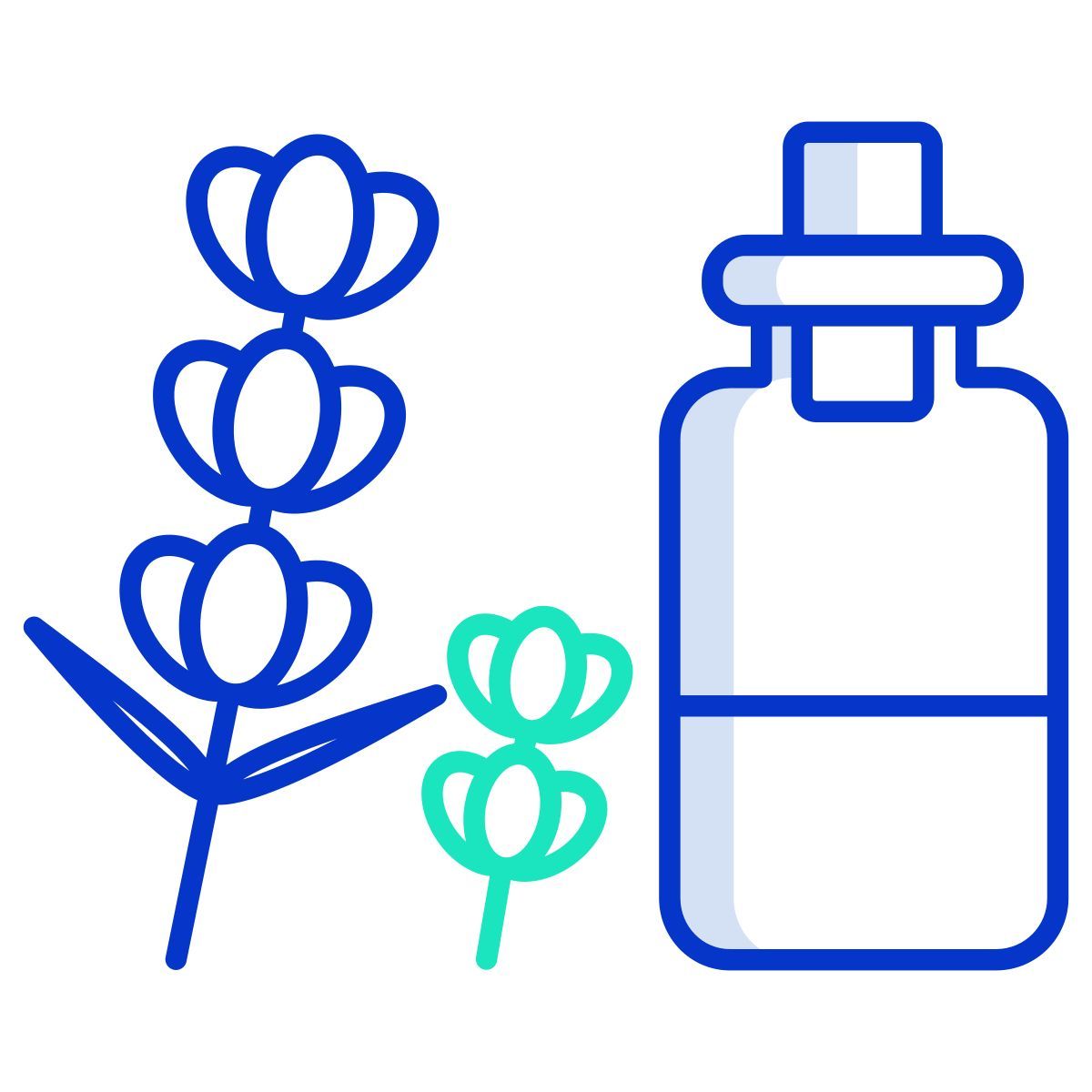 lavanda icon