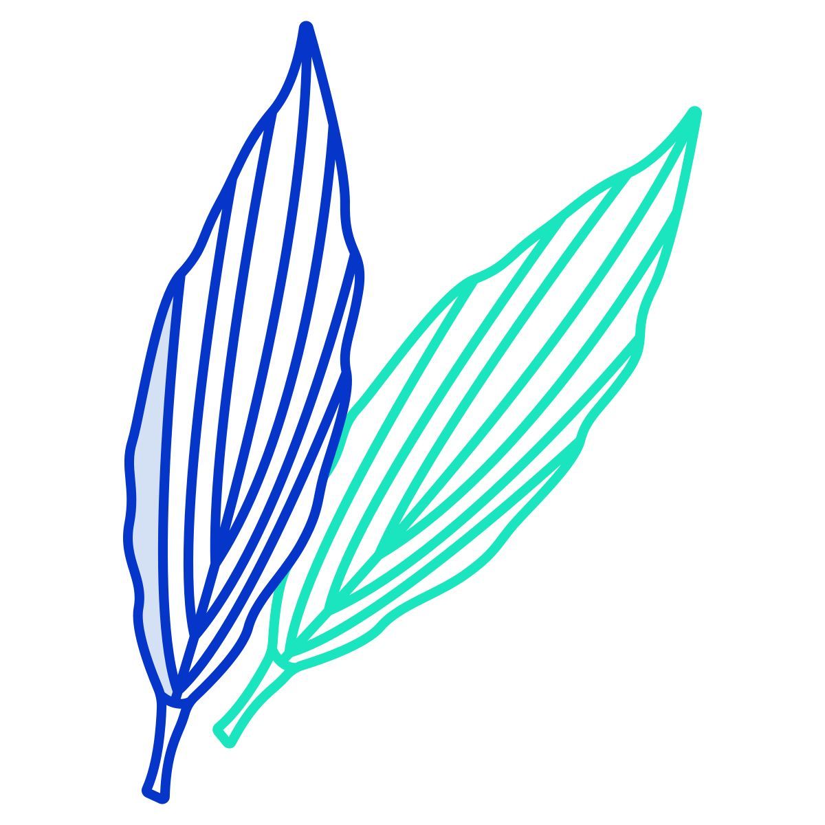 leaf icon