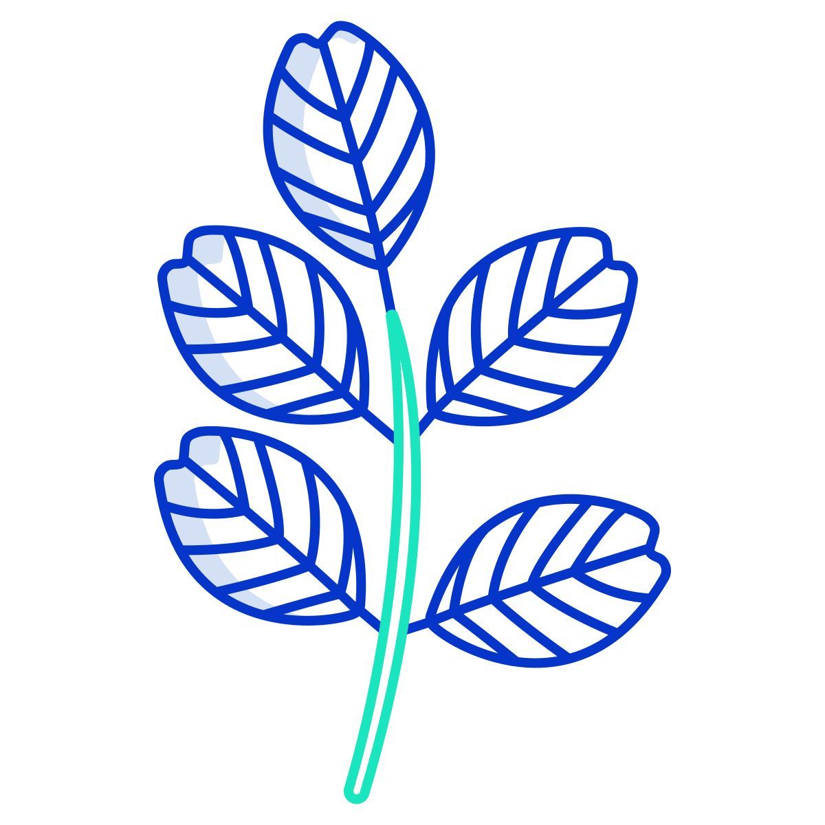 leaf icon
