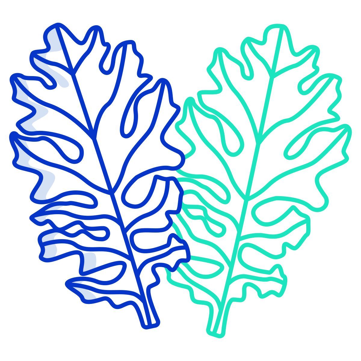 leaf icon