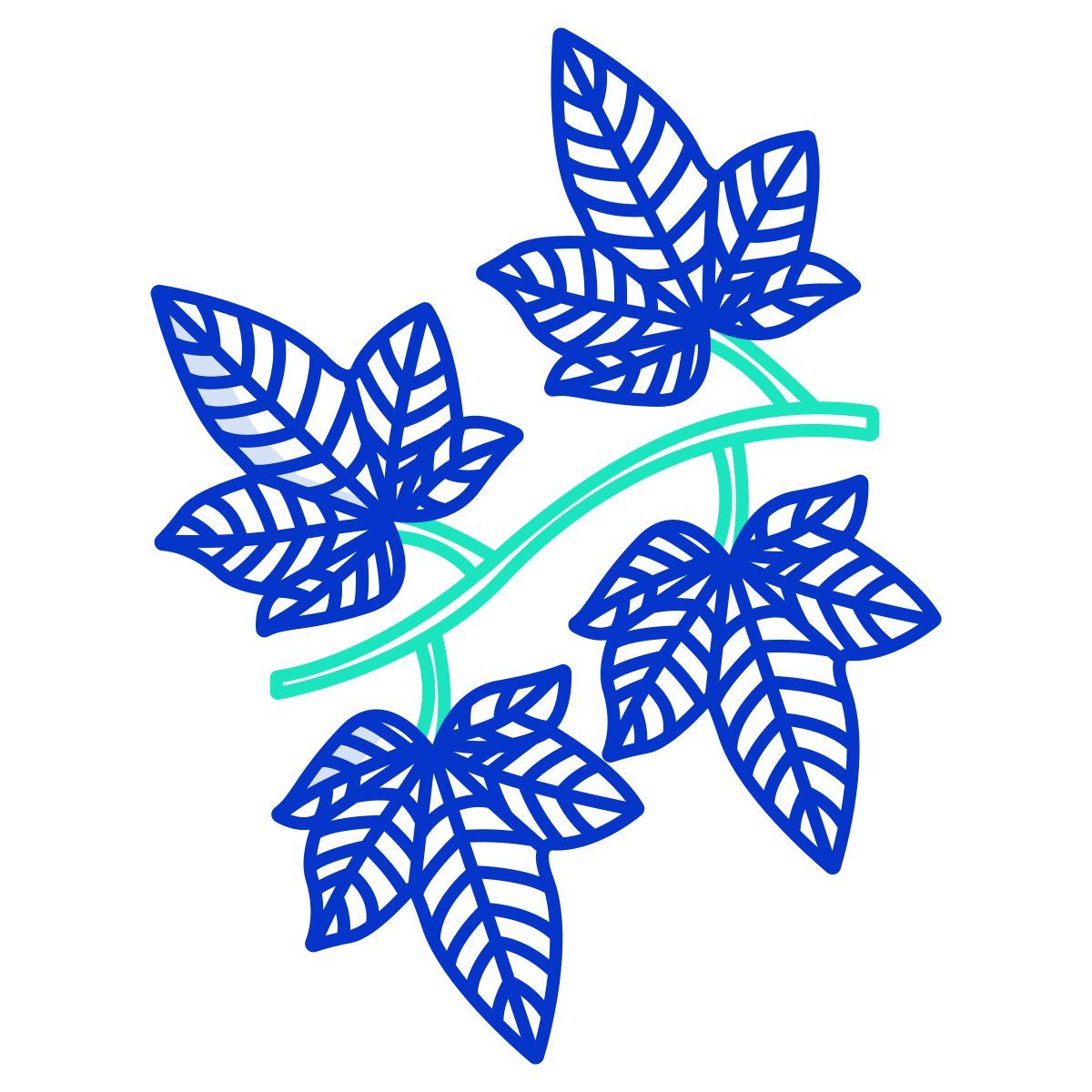 leaf icon