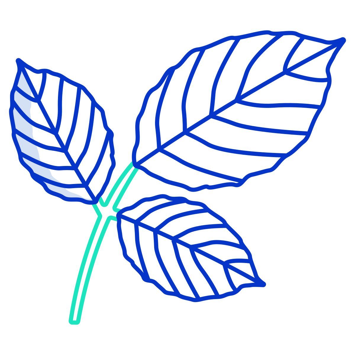 leaf icon