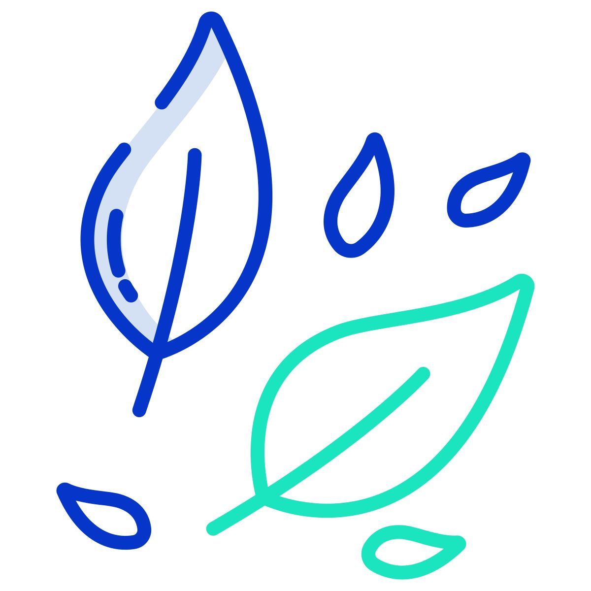 leaves icon