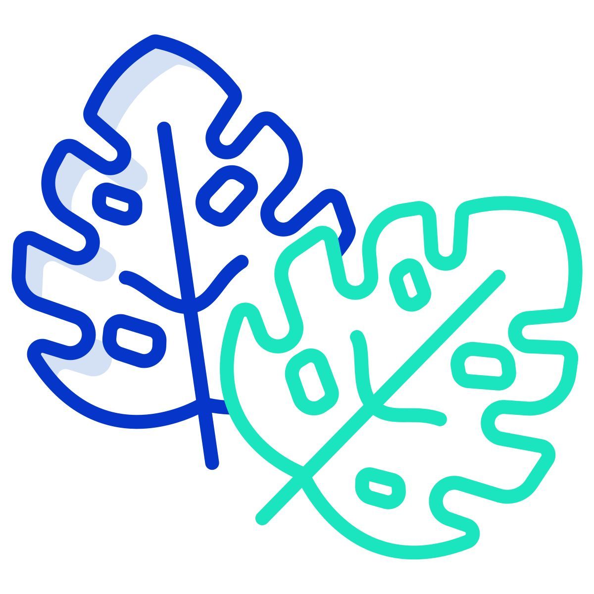 leaves icon