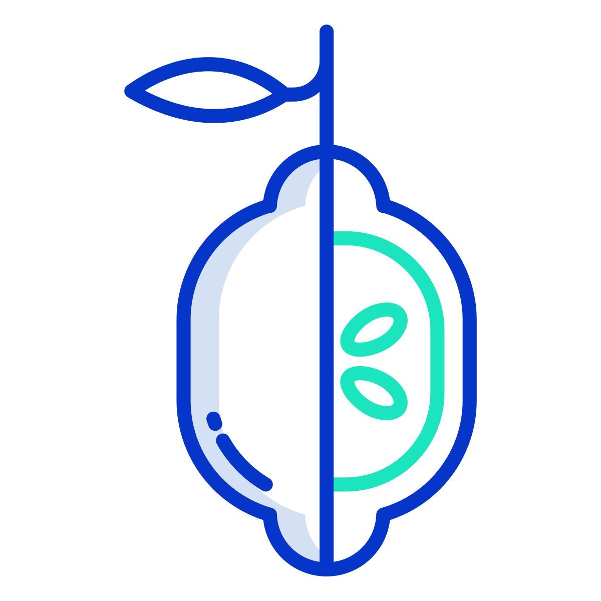 lemon icon