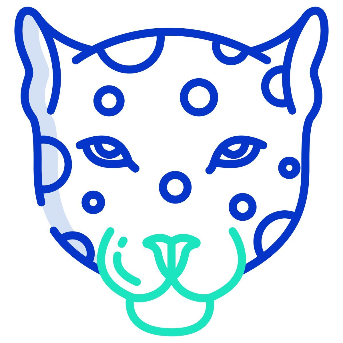 leopard icon