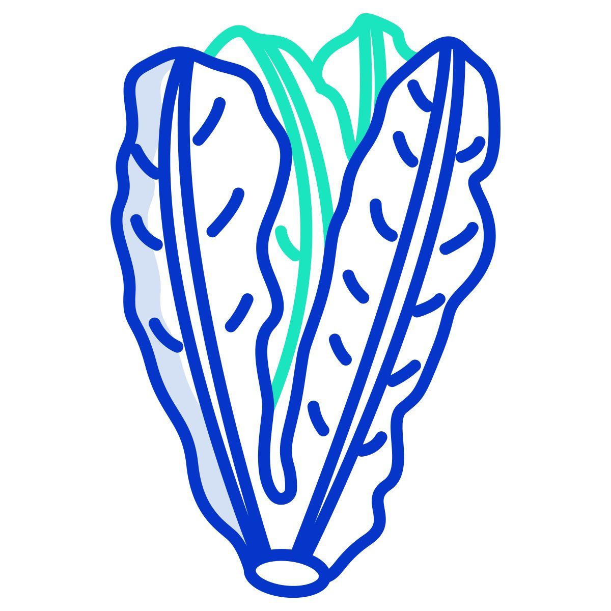 lettuce icon