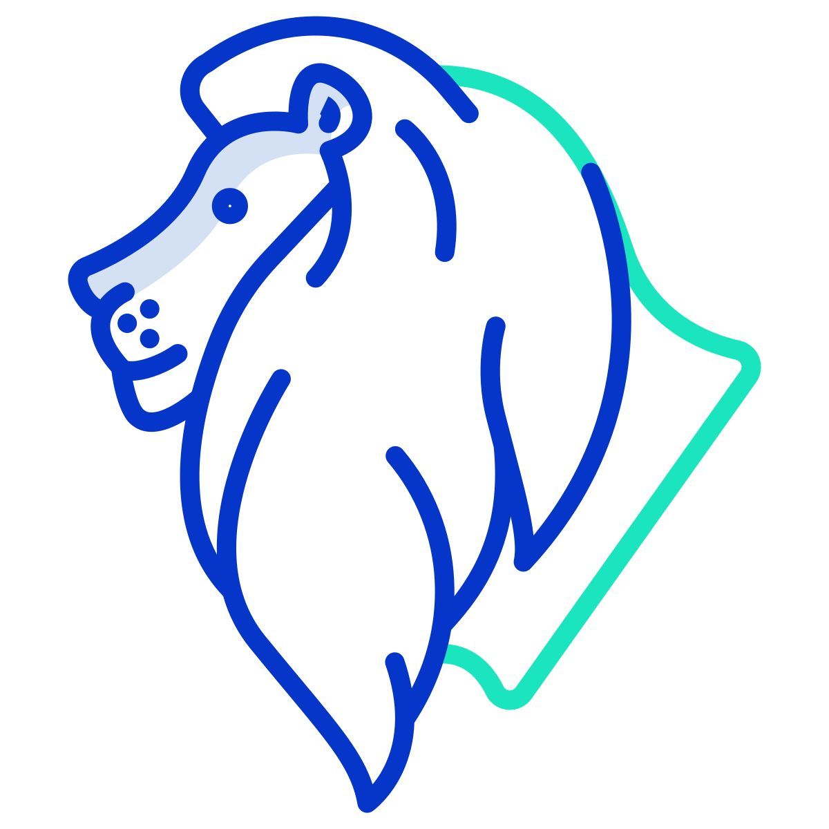 lion icon
