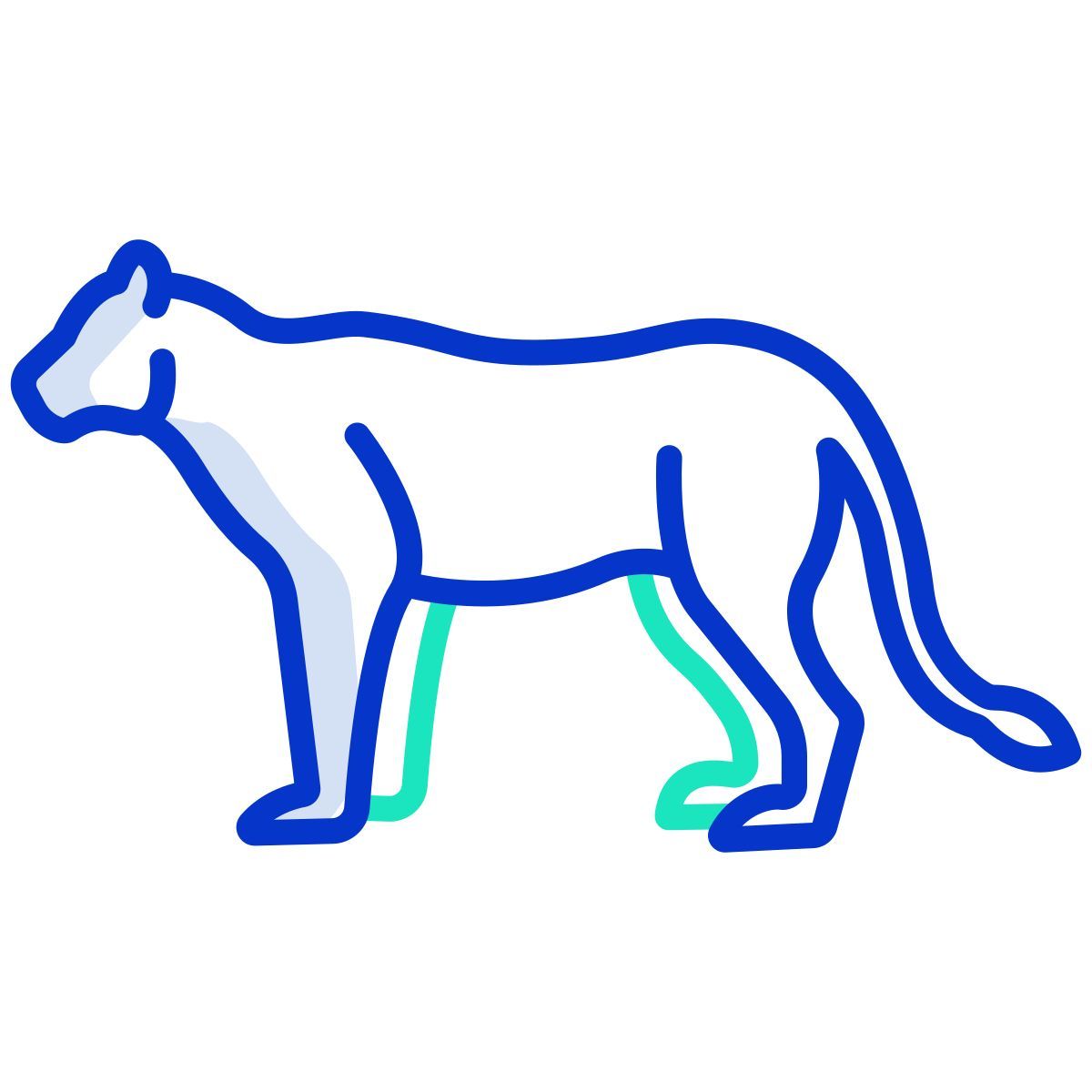 母狮 icon