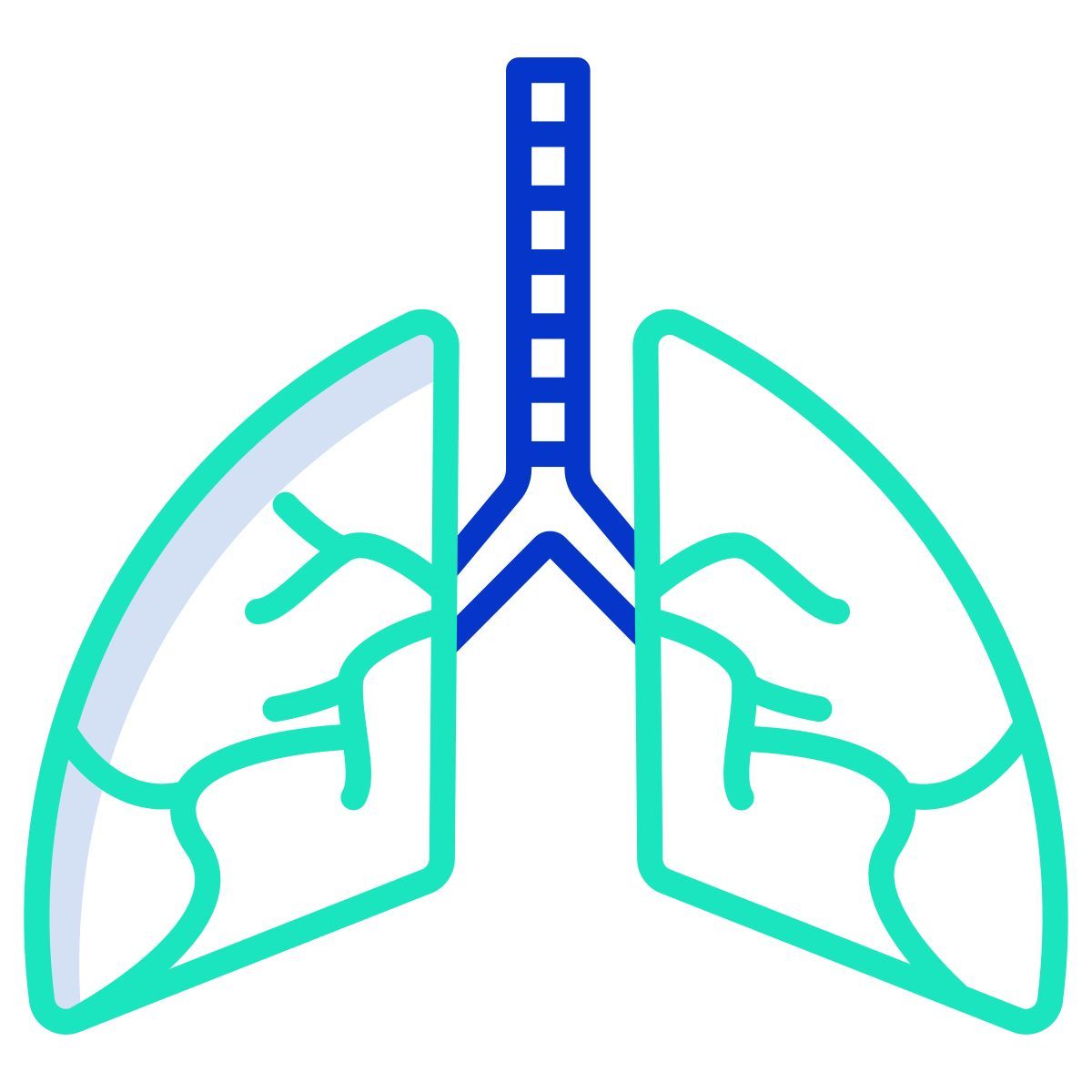 lung icon