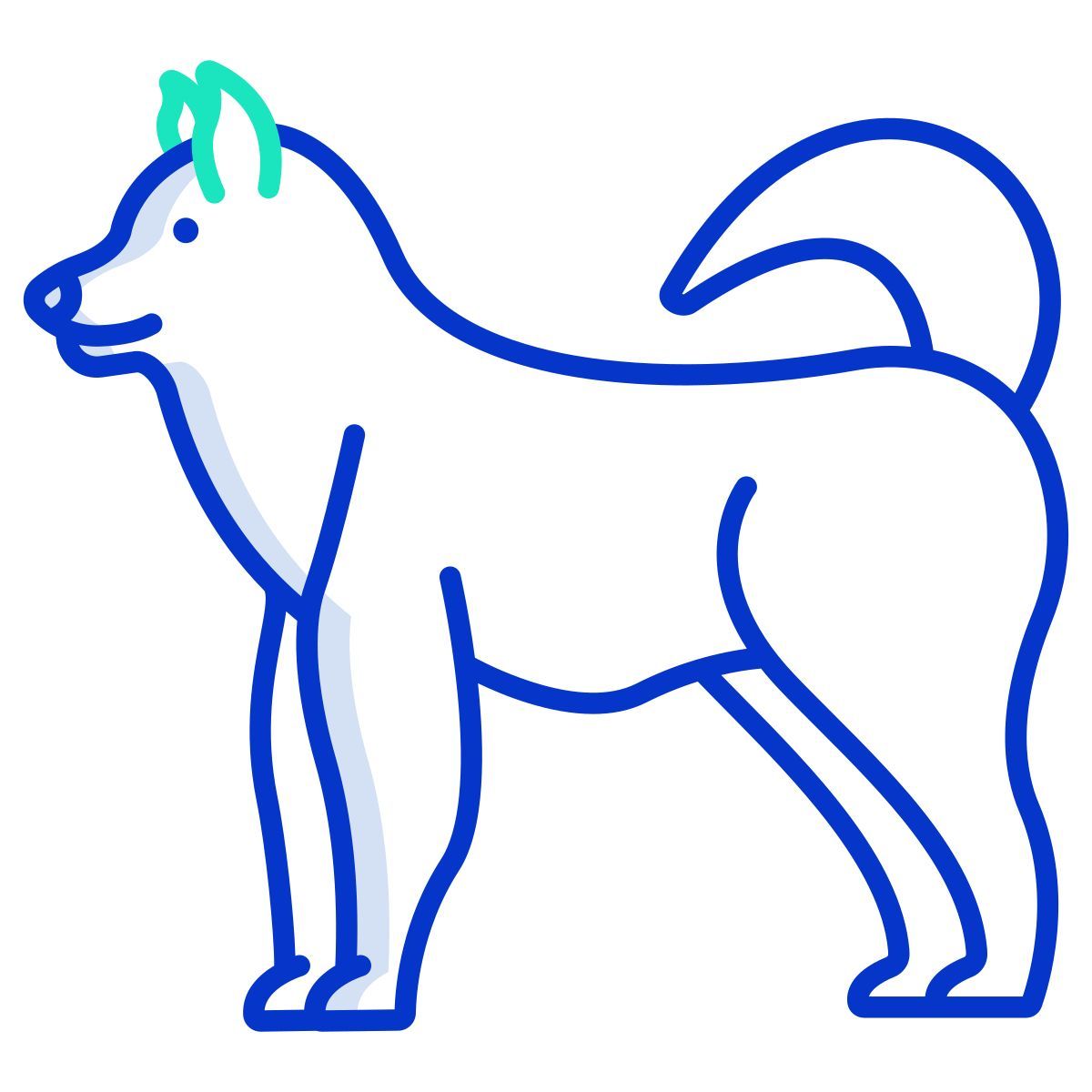 malamute icon