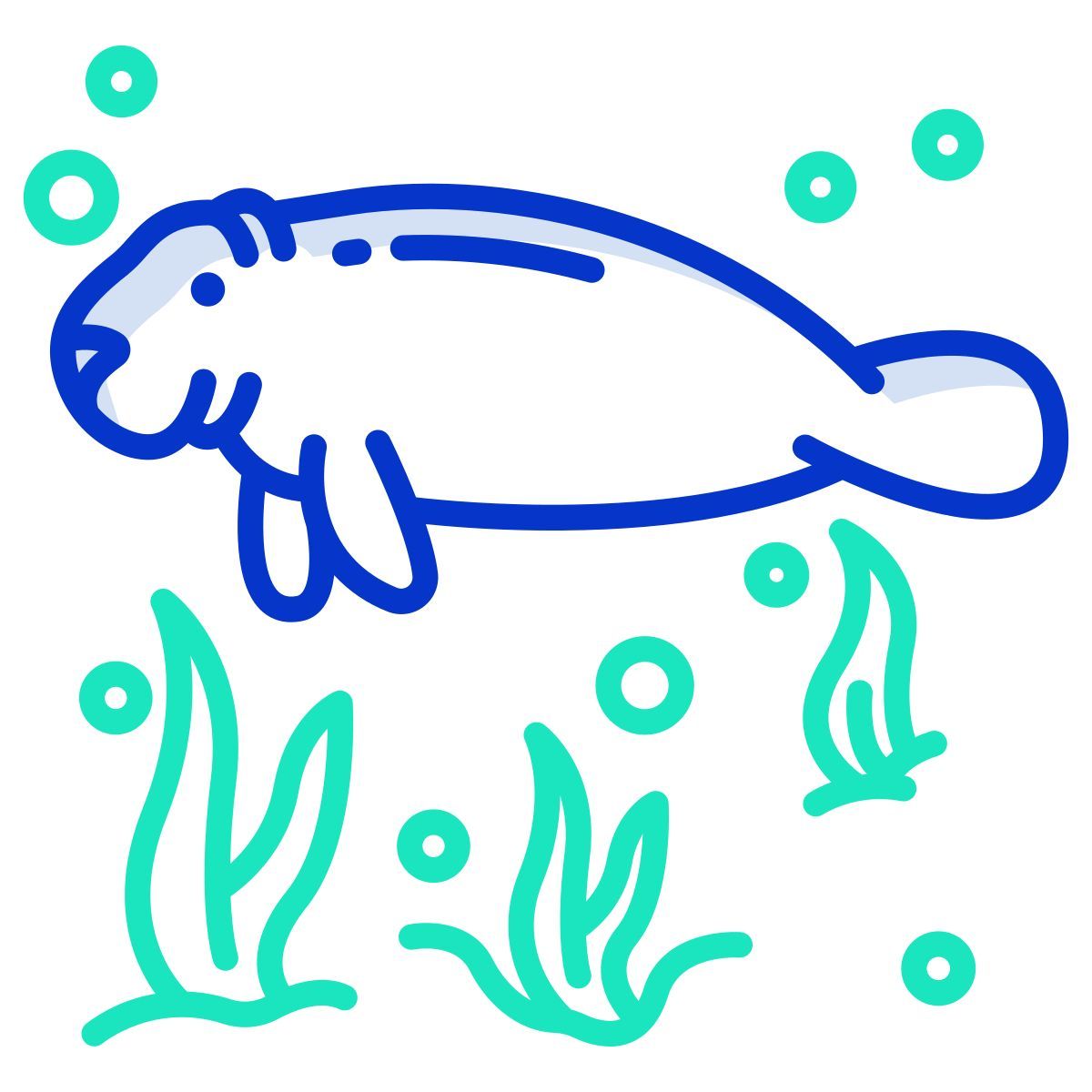 manatee icon