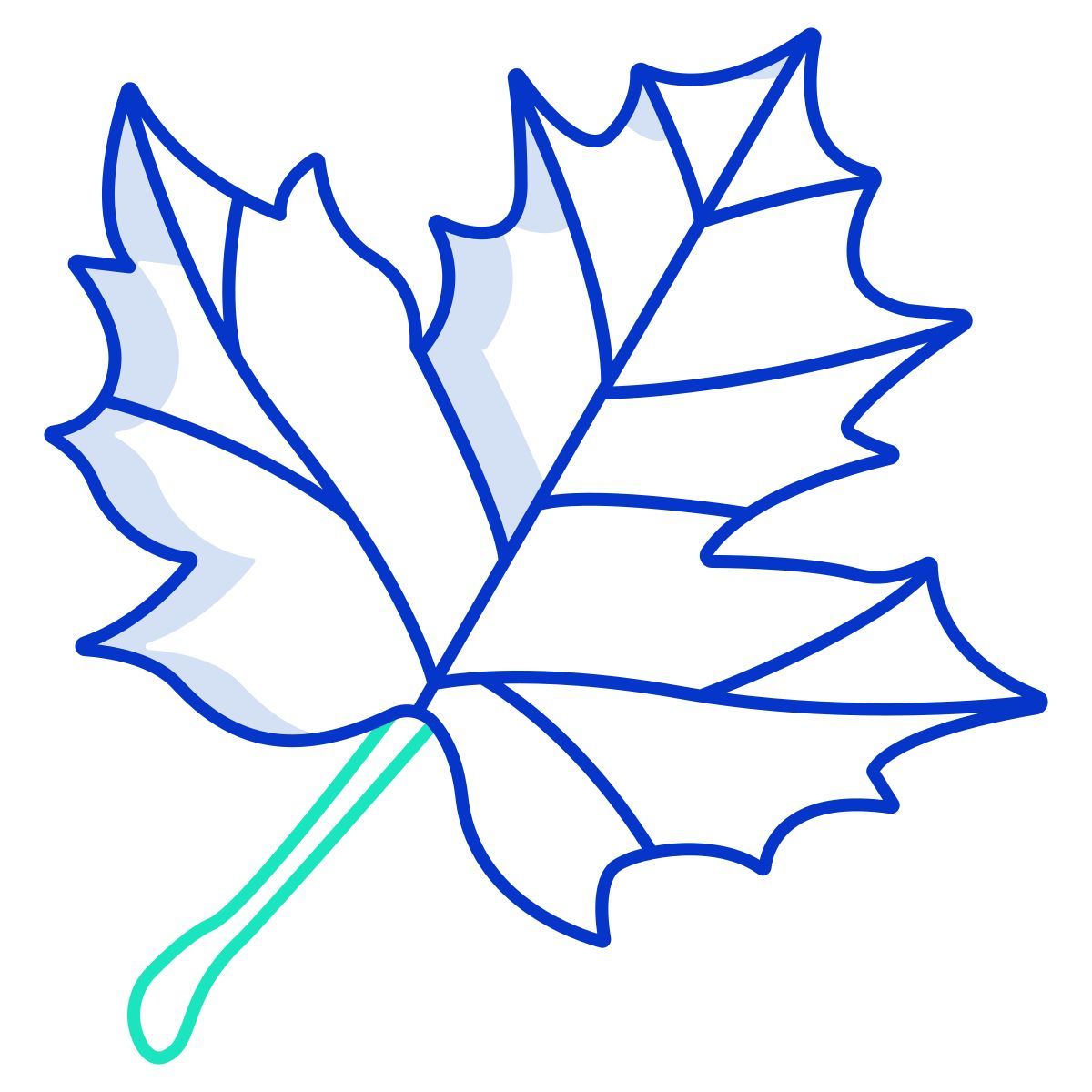 maple icon