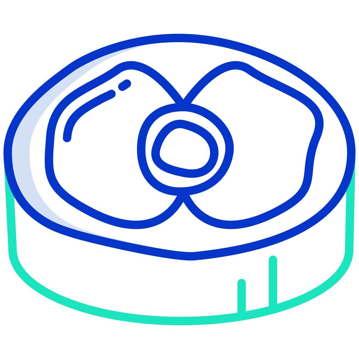 meat slice icon