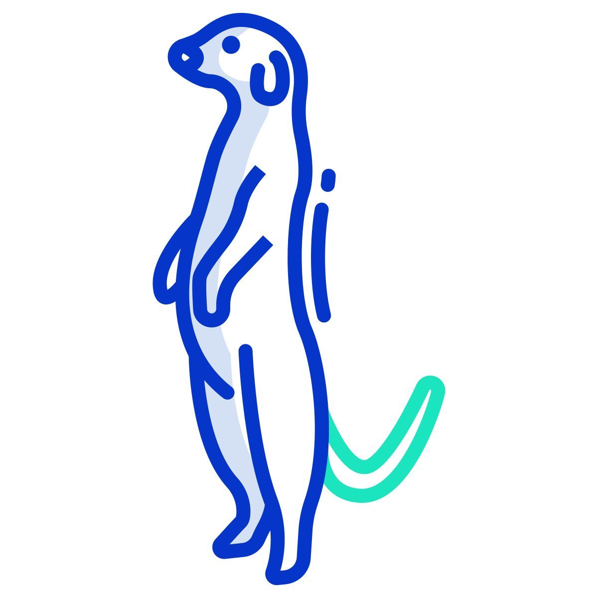 meerkat icon