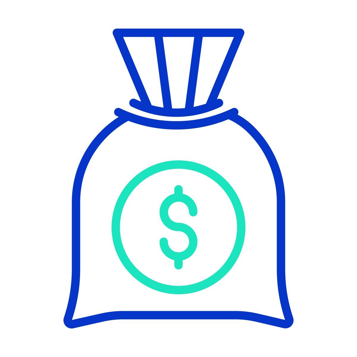 money bag icon