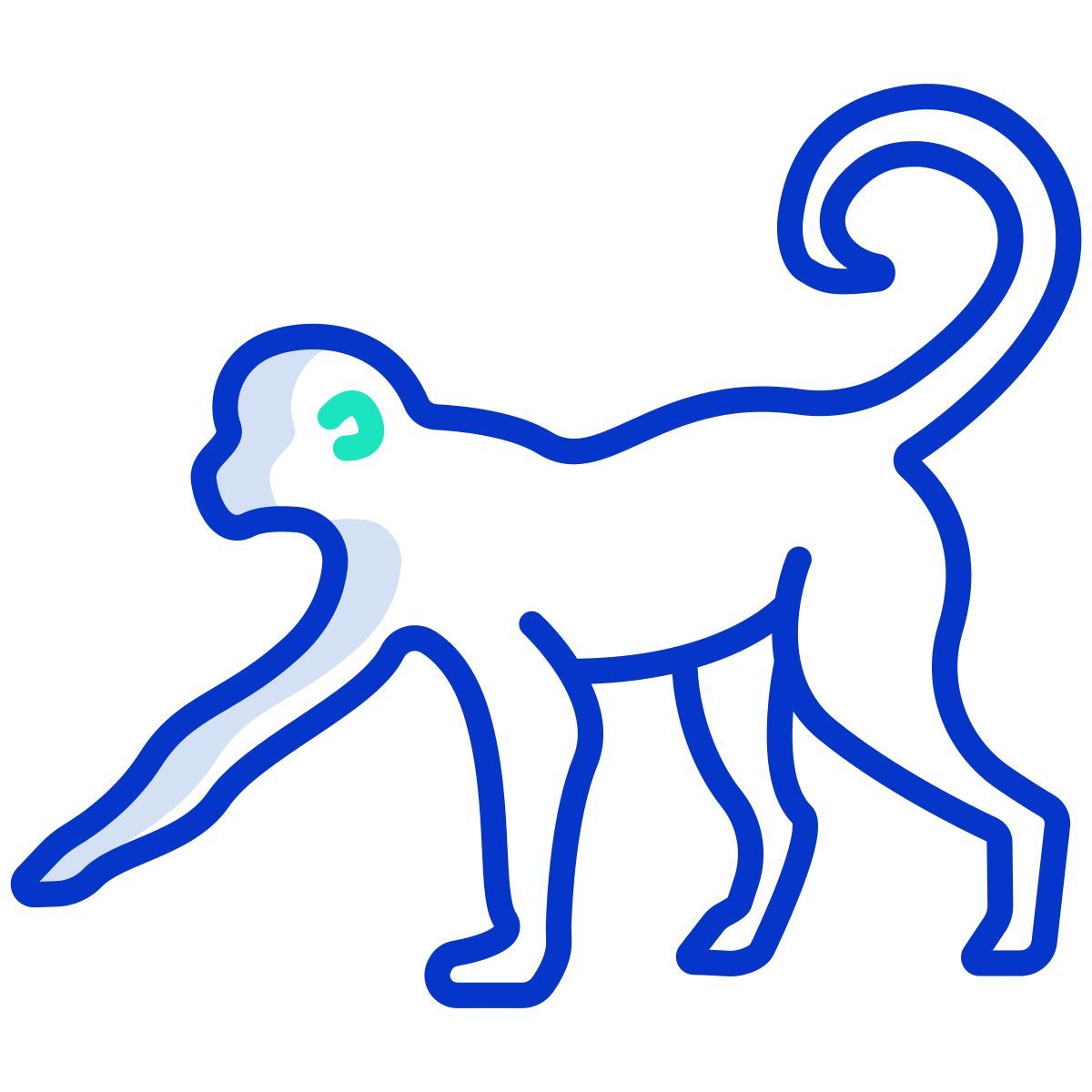 monkey icon