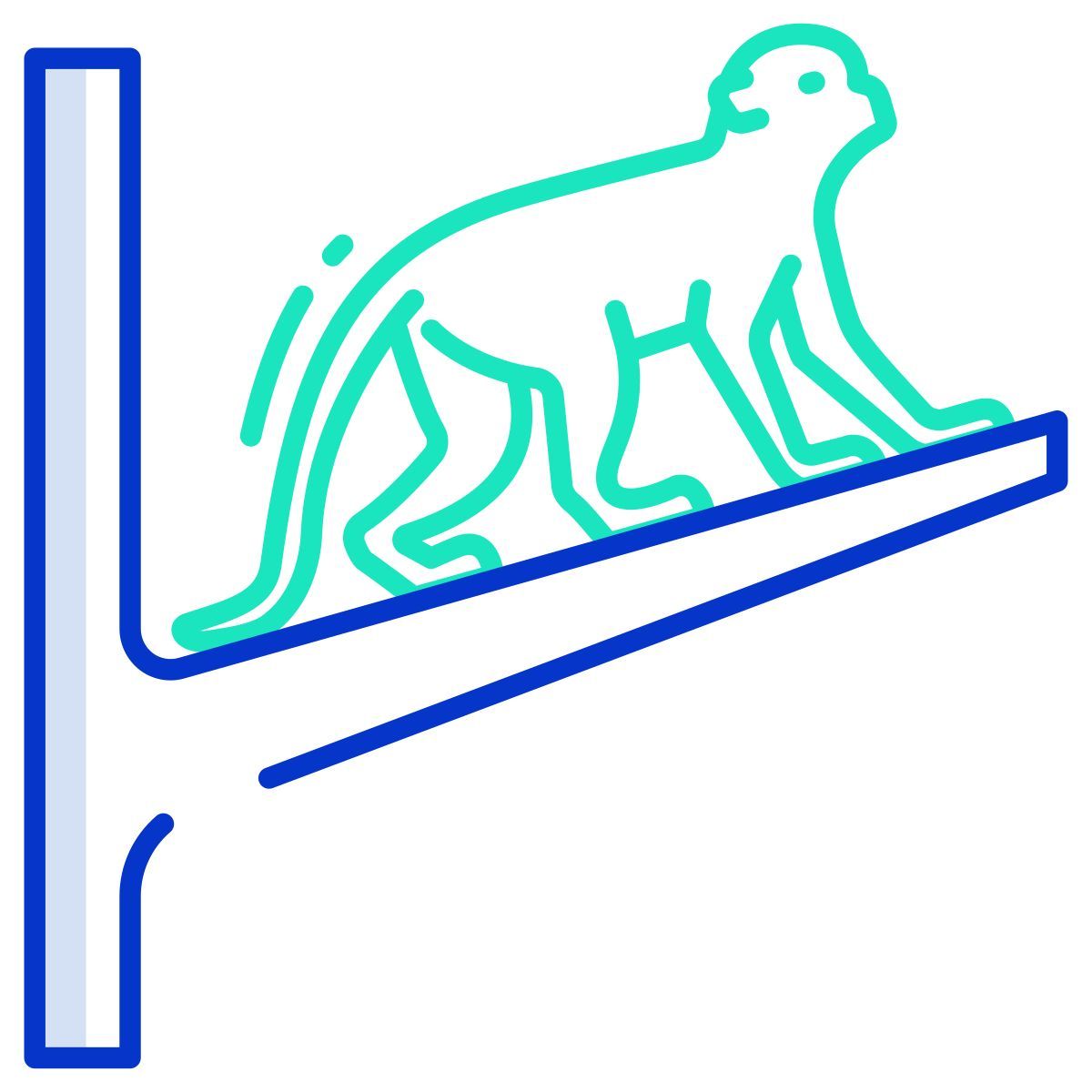 monkey icon