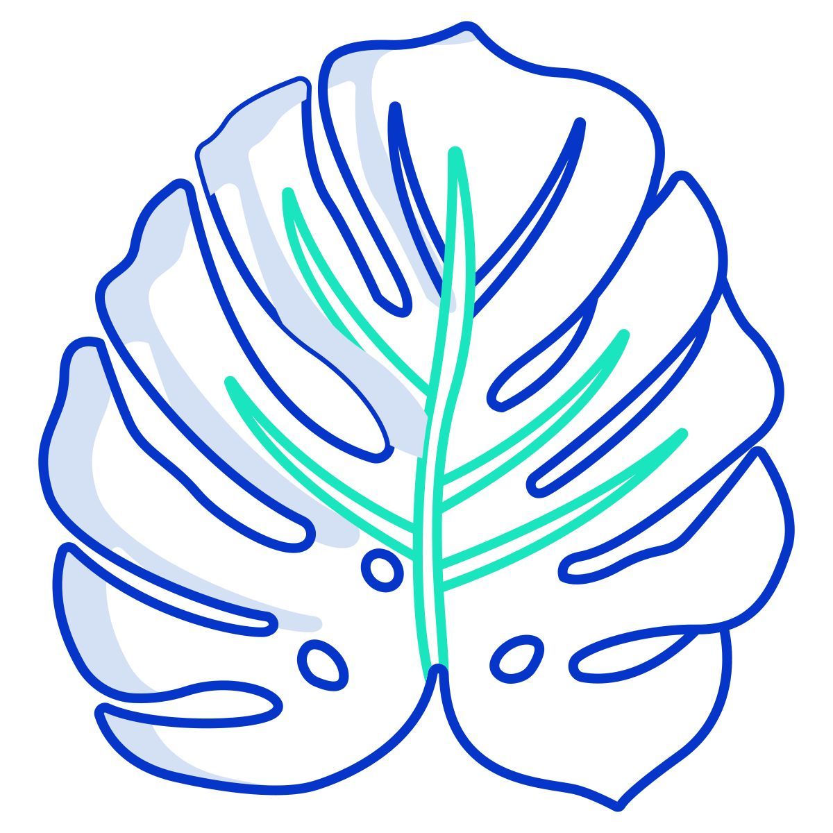 monstera icon