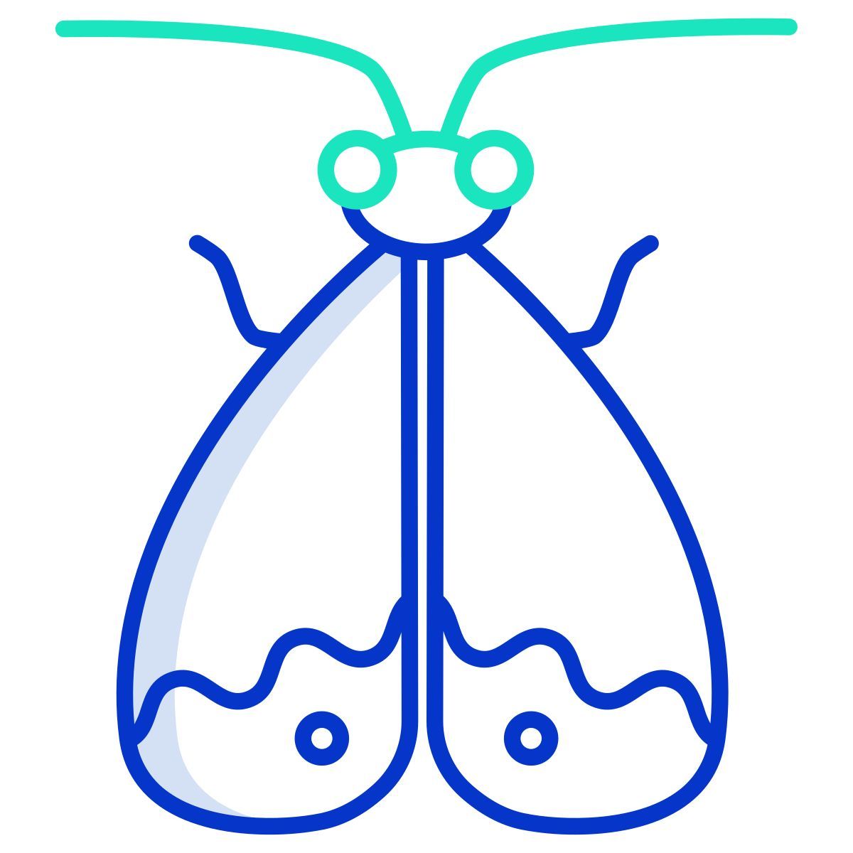 motte icon