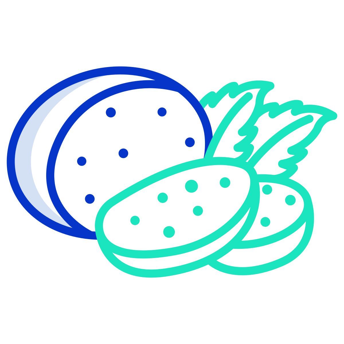 mozzarella icon