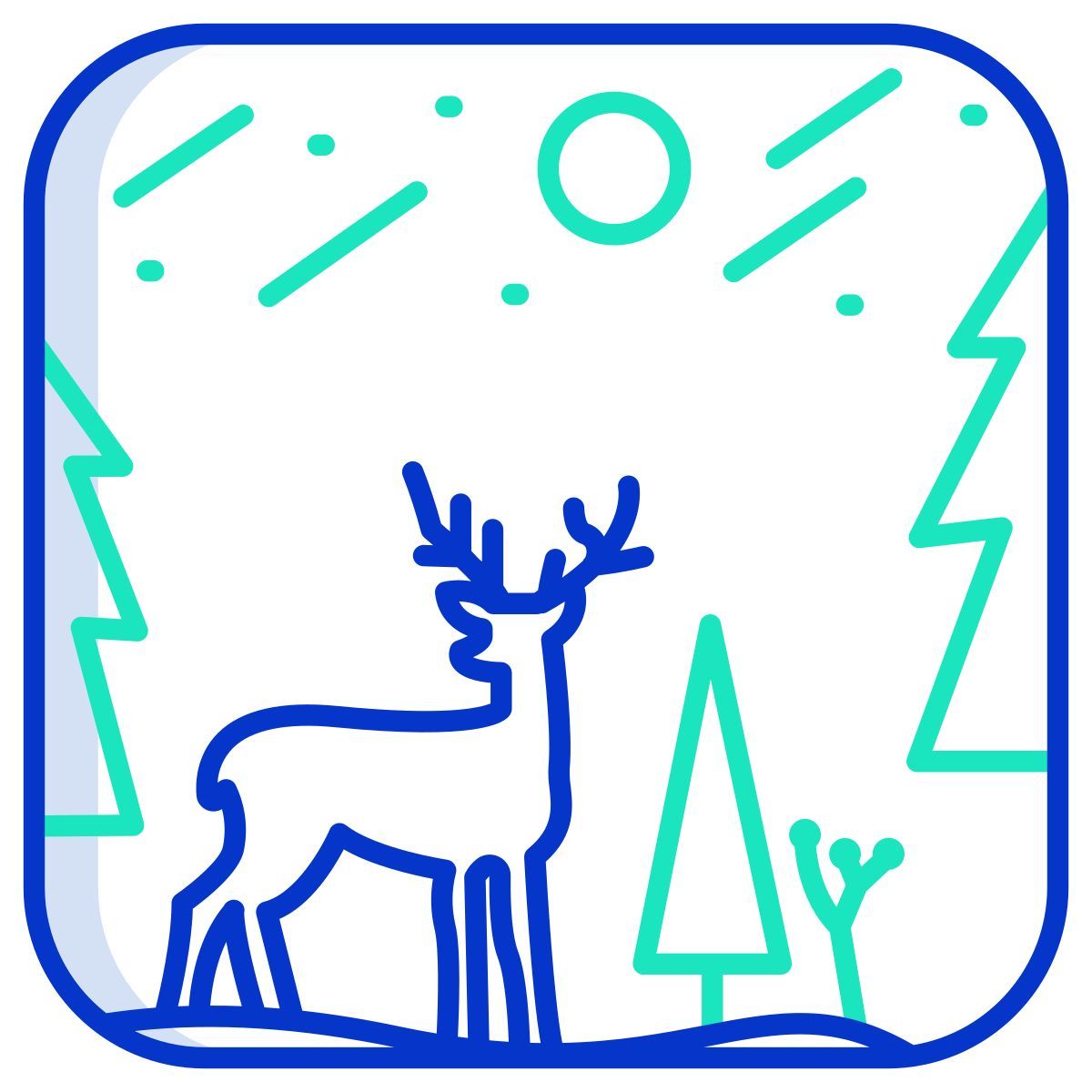 night icon