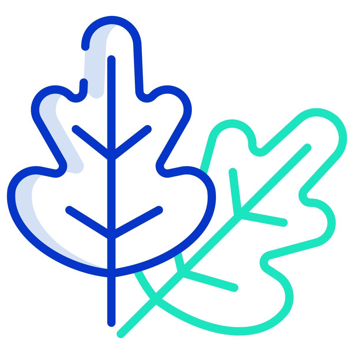 oak leaf icon