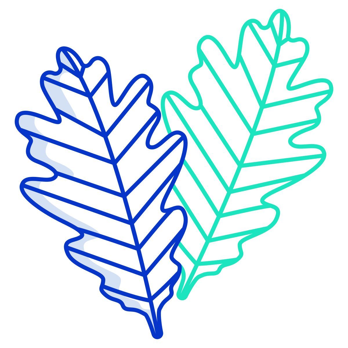 carvalho icon
