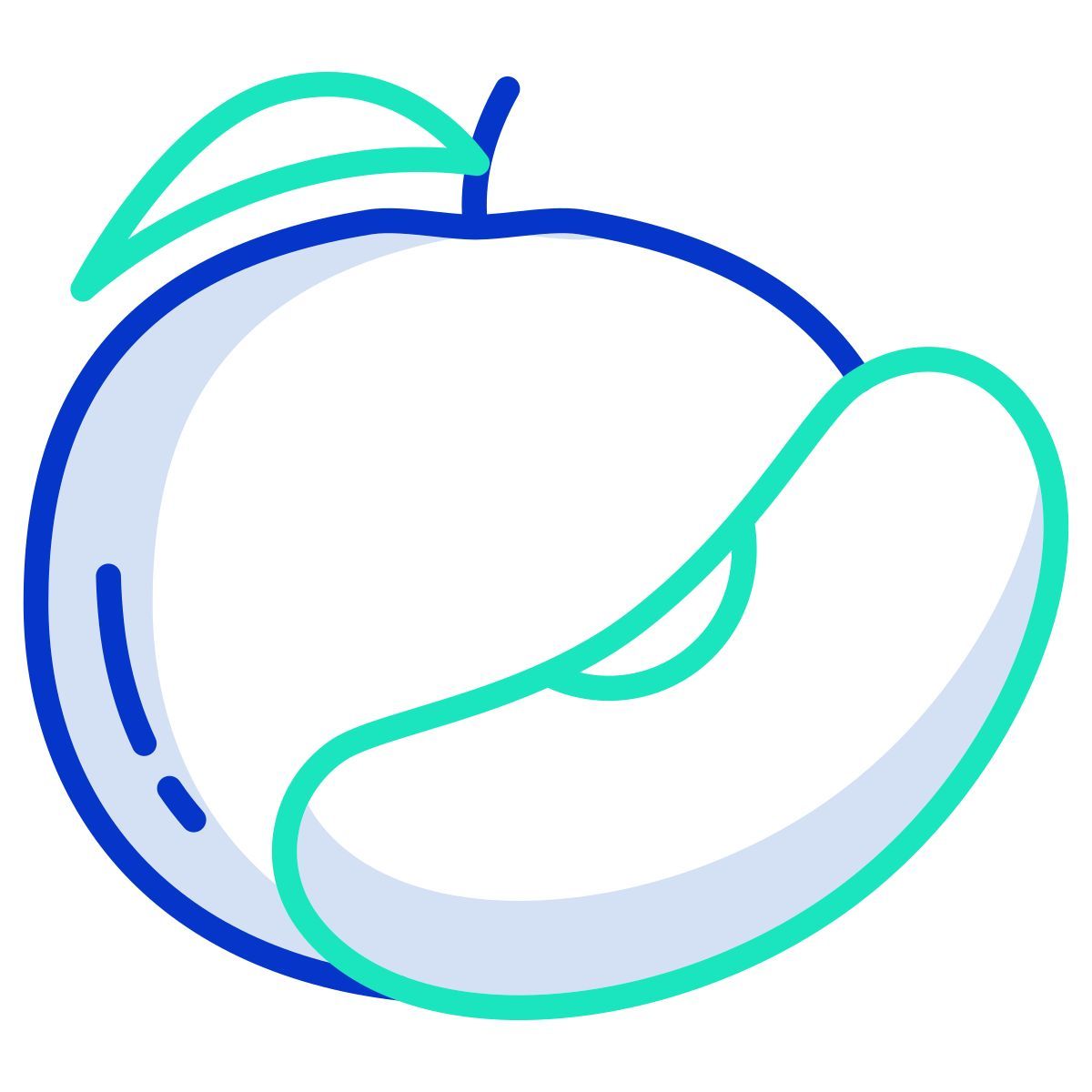 orange icon