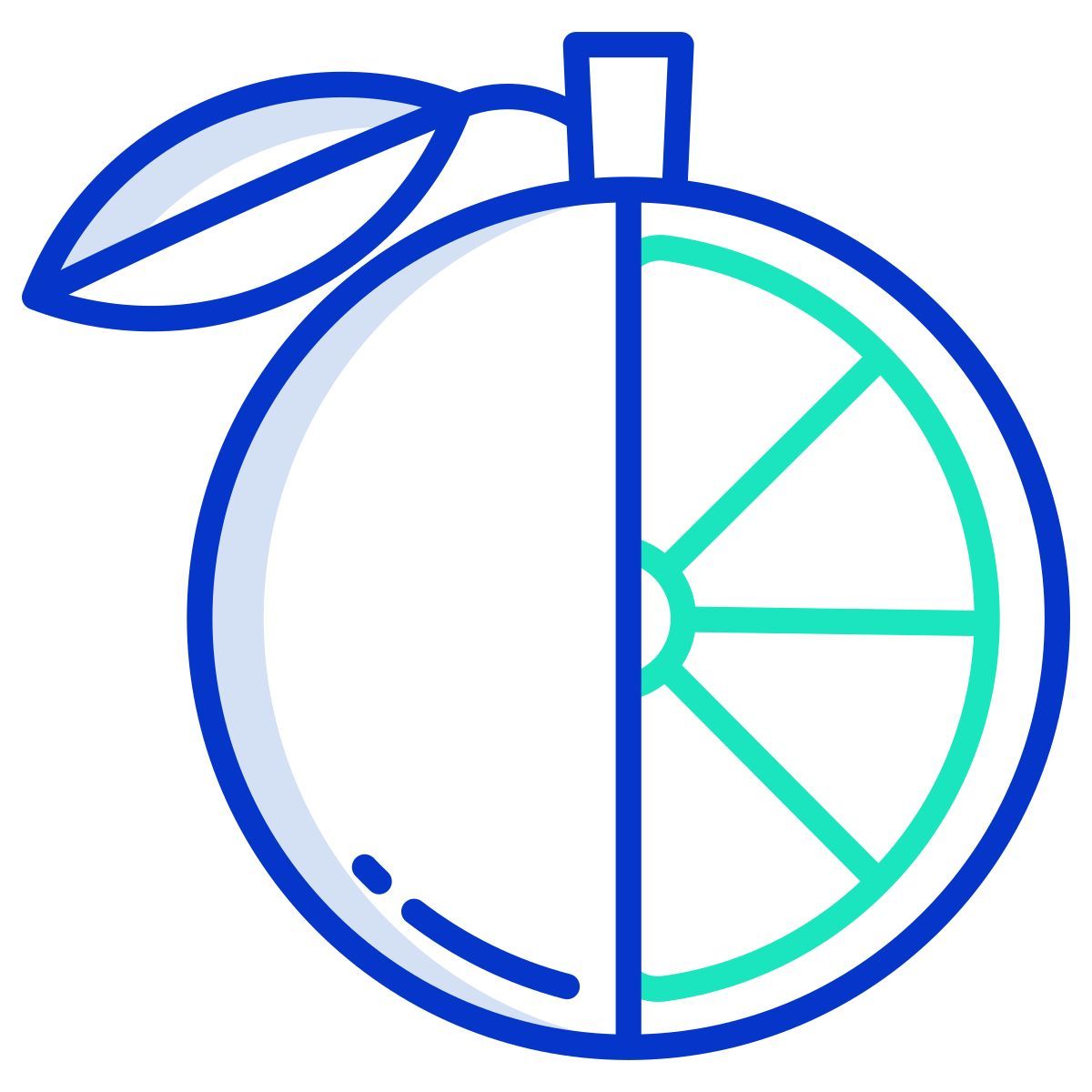 orange icon