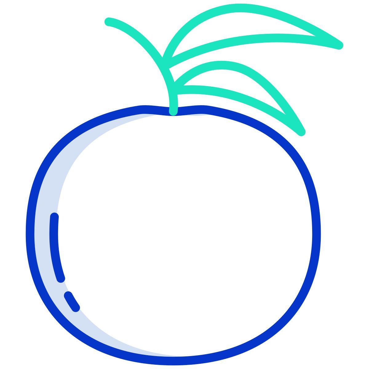 orange icon