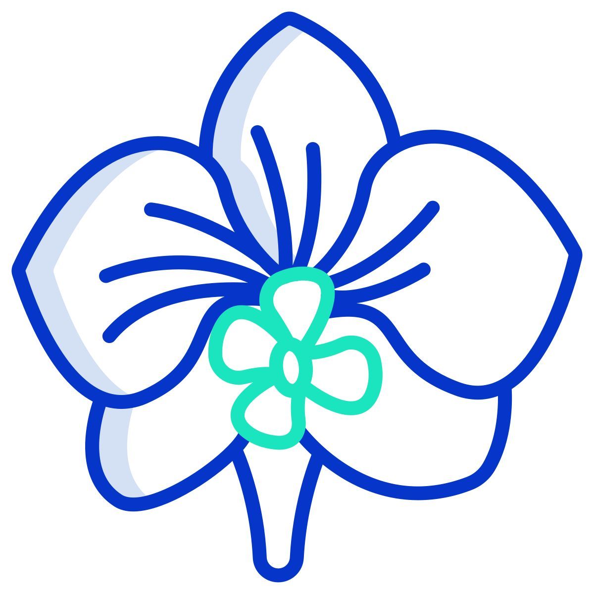 orchid icon