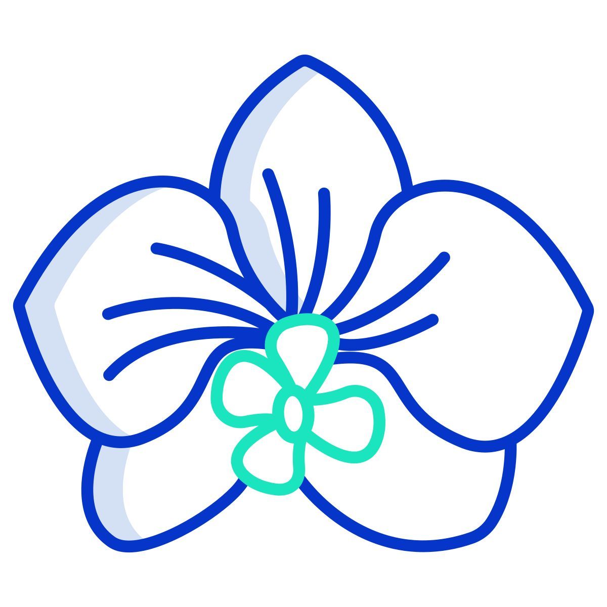 orchid icon