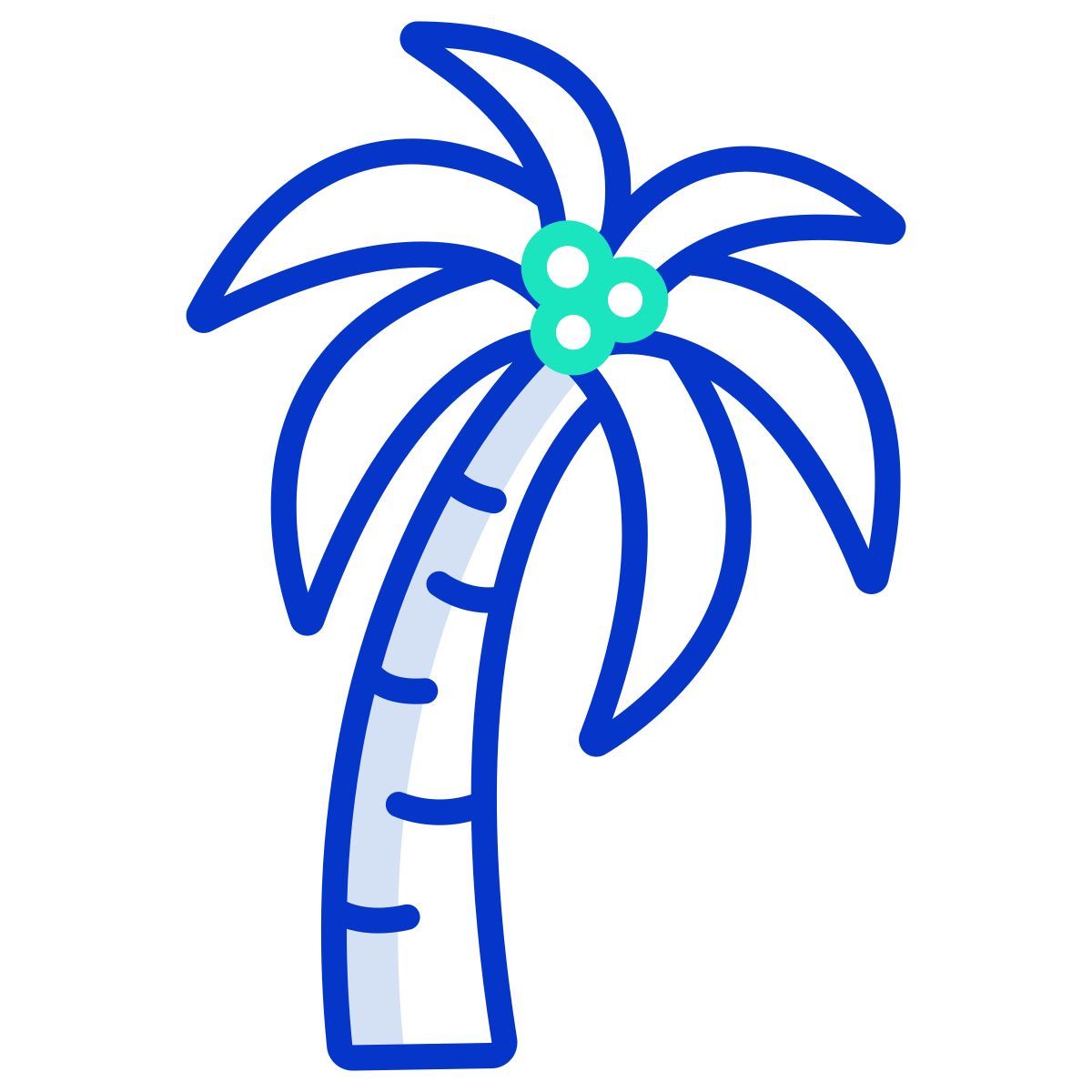 palm tree icon