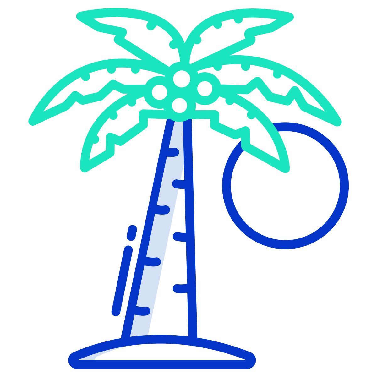 palm tree icon