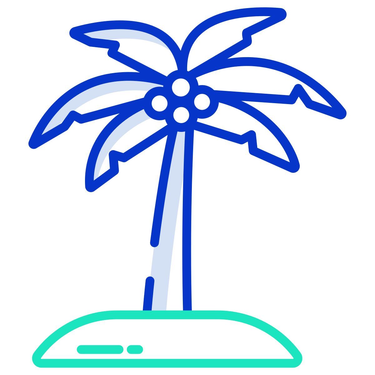palm tree icon