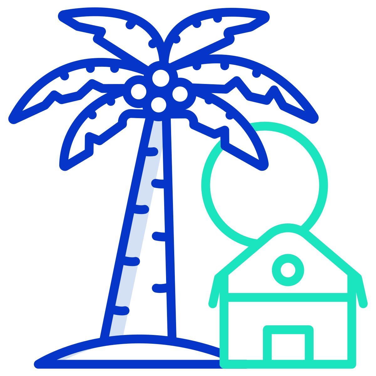 palm tree icon