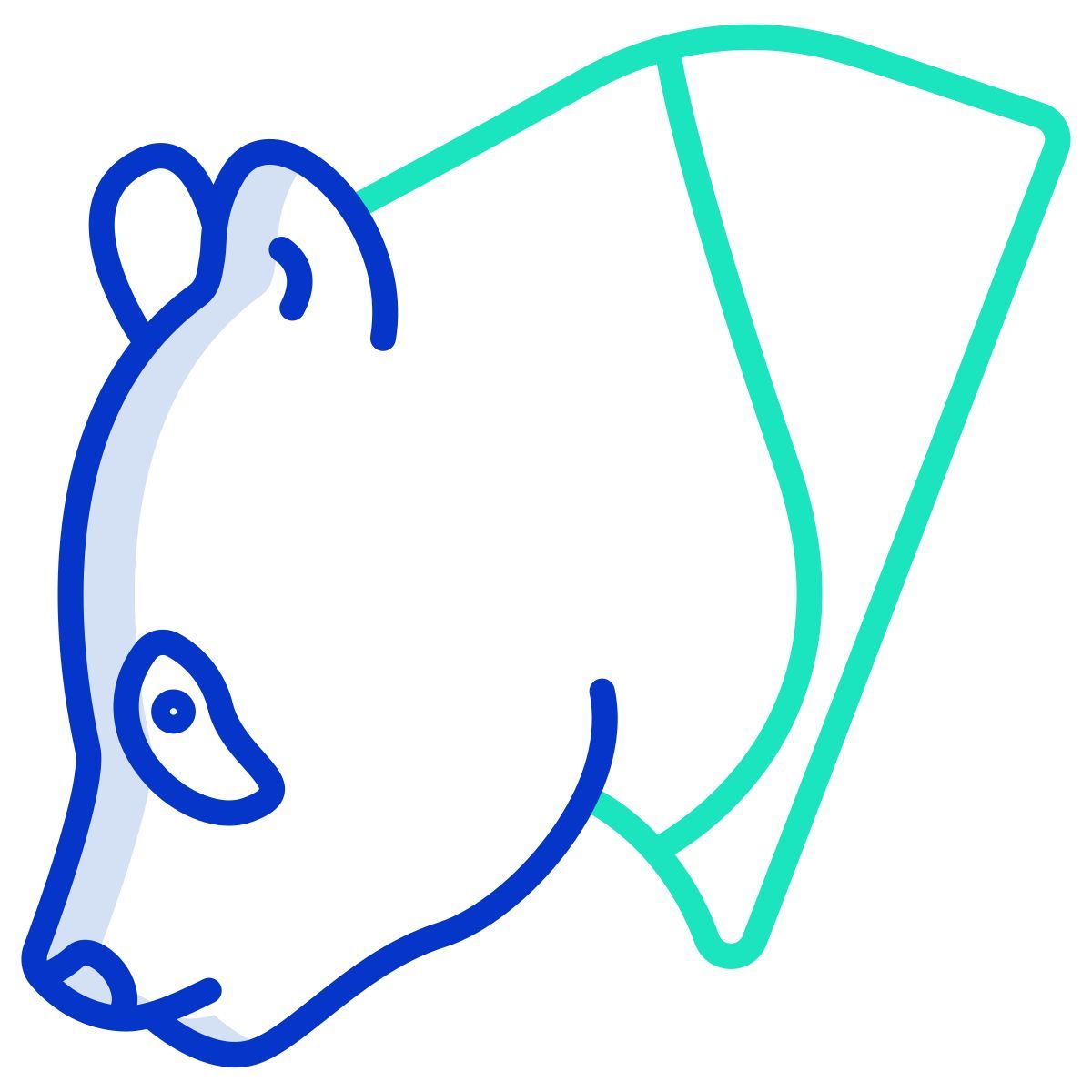 panda icon