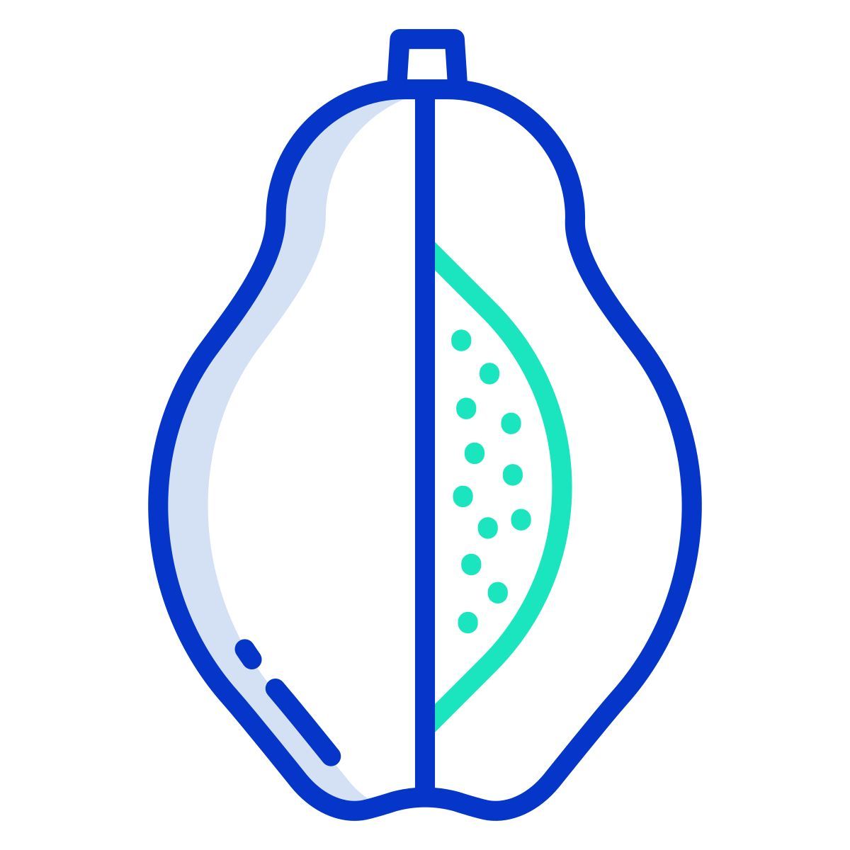 papaya icon
