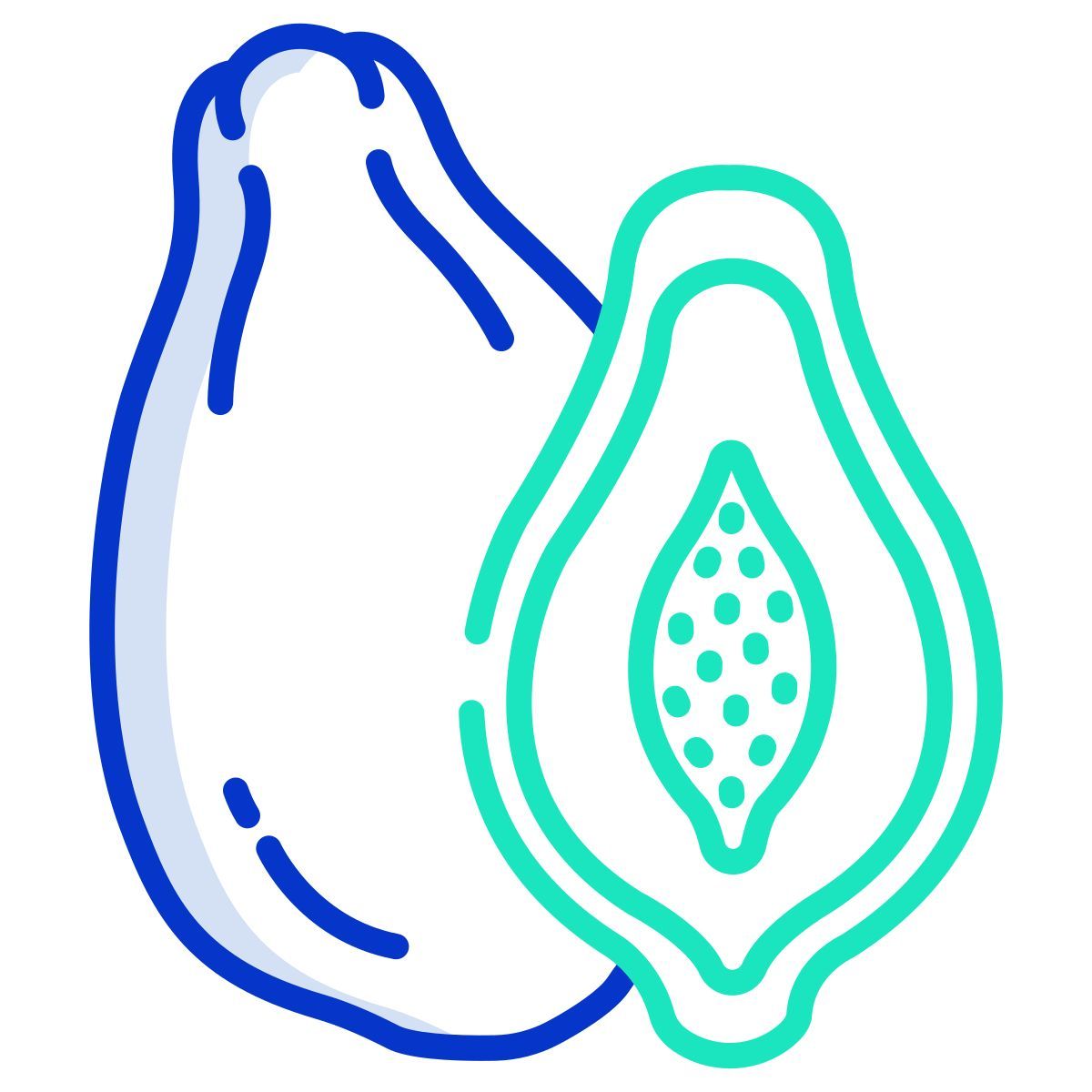 papaya icon