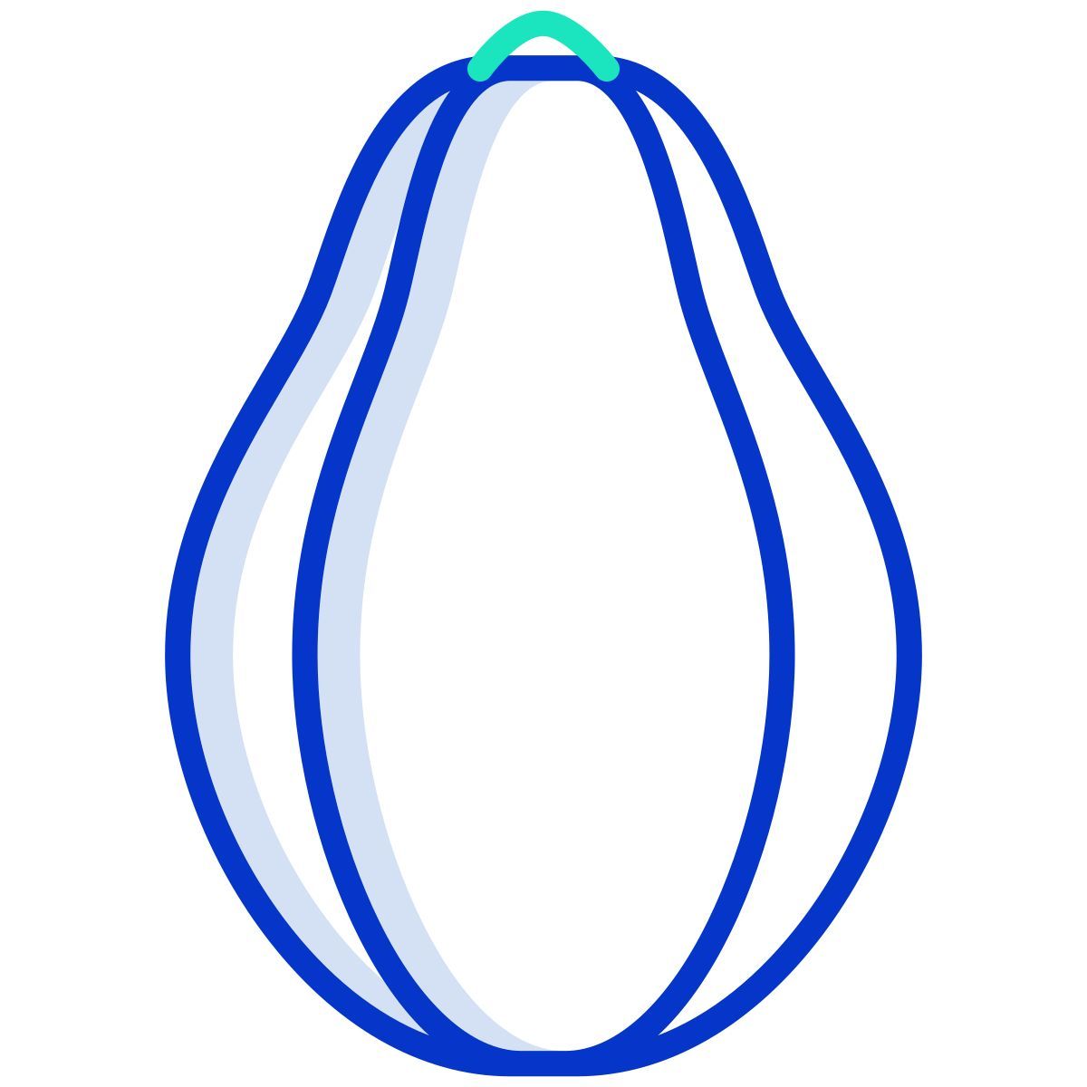 papaya icon