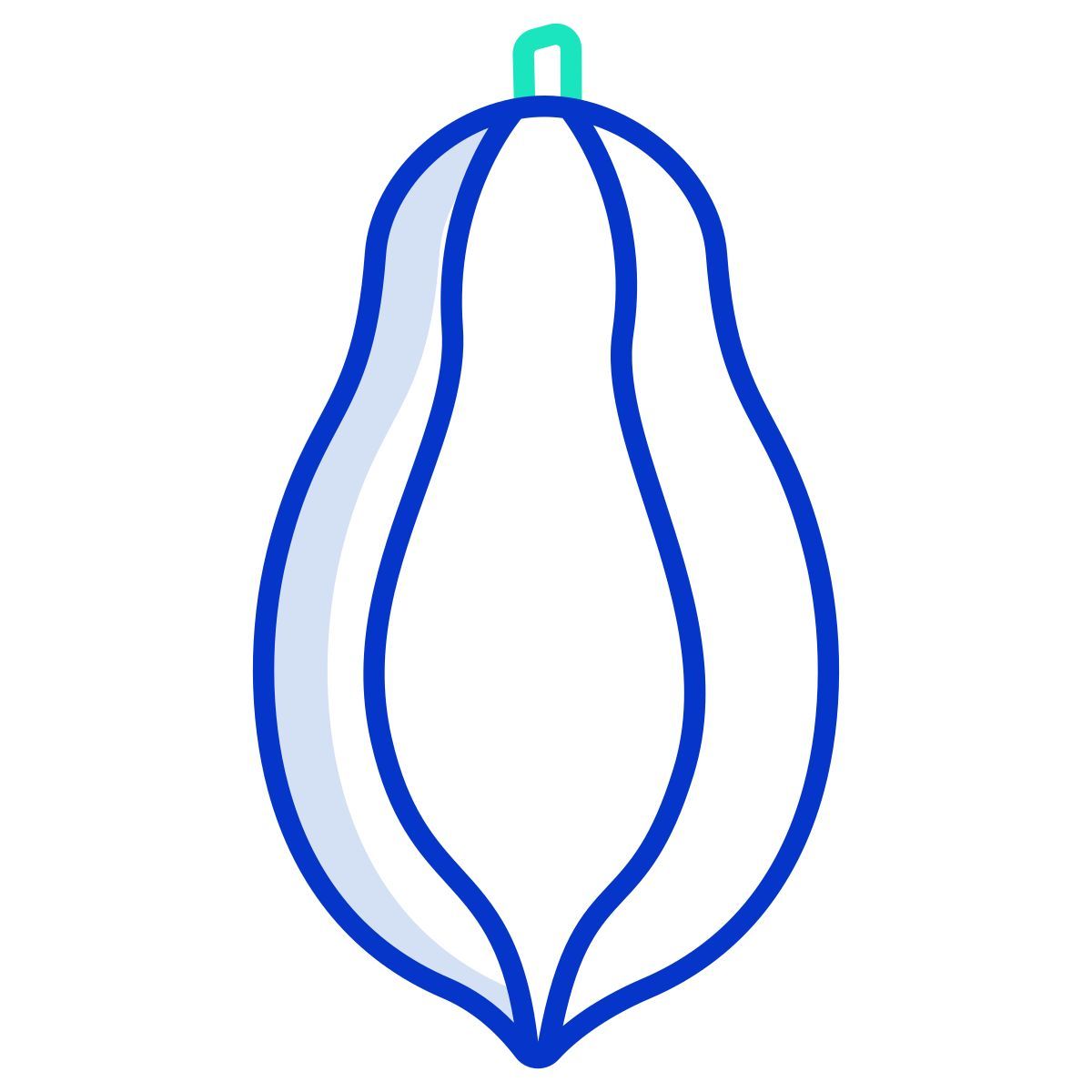 papaya icon