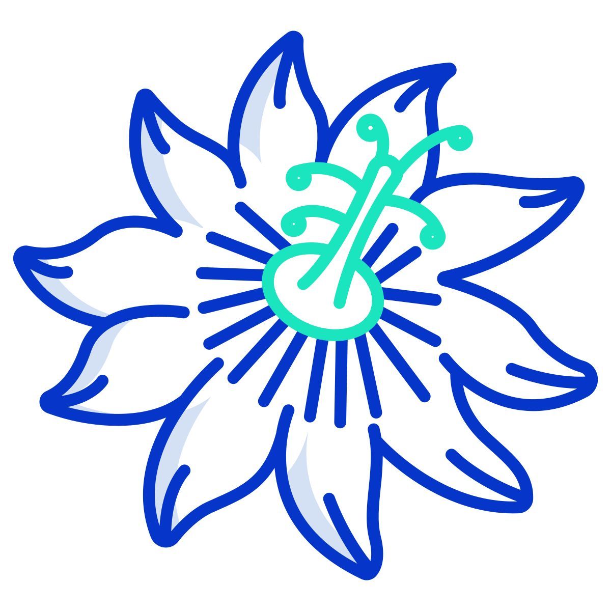 paixão icon