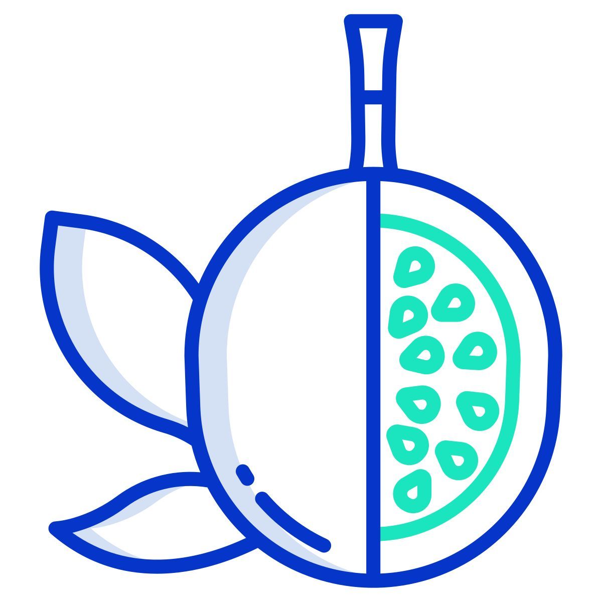 passion fruit icon