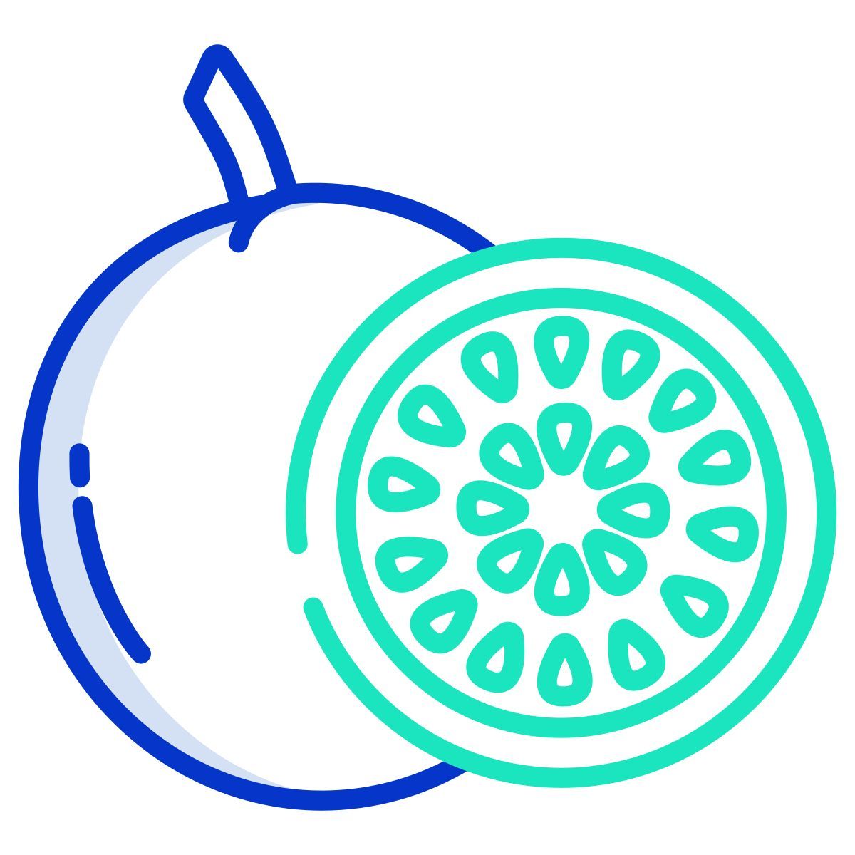 passion fruit icon