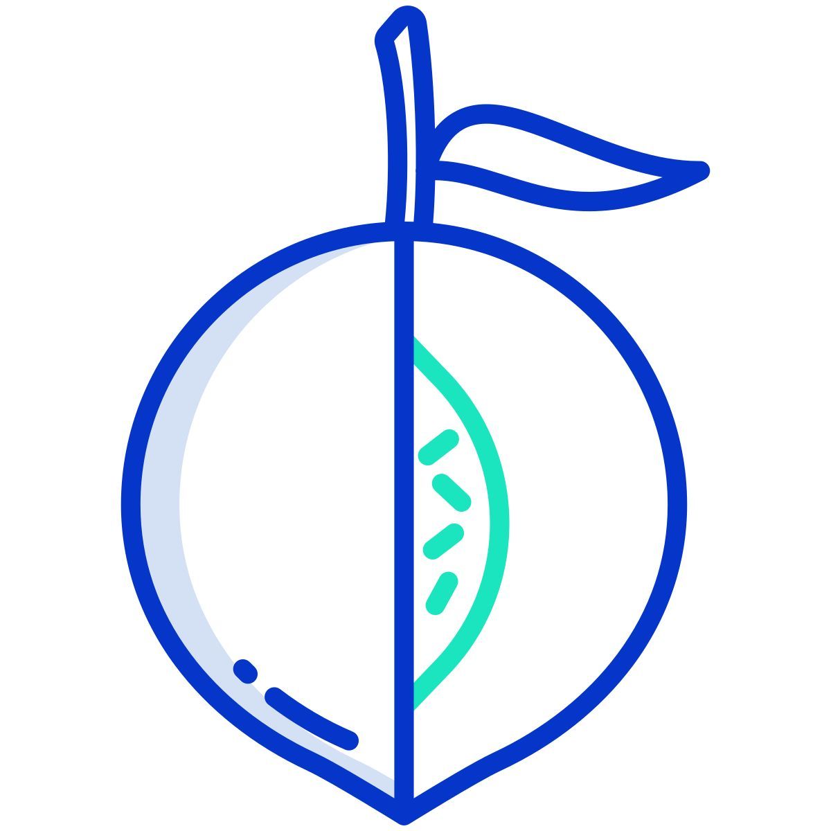 peach icon