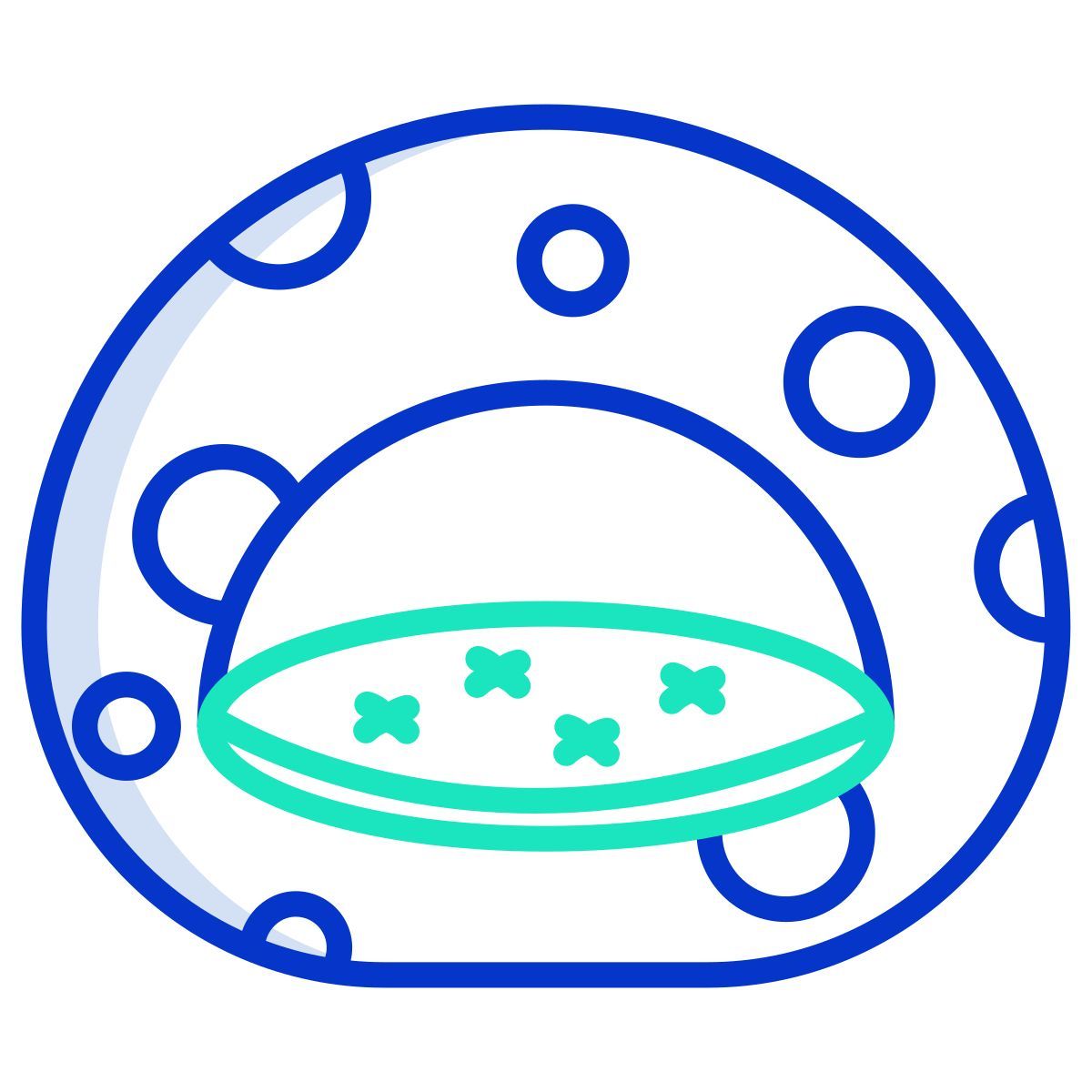 pet bed icon