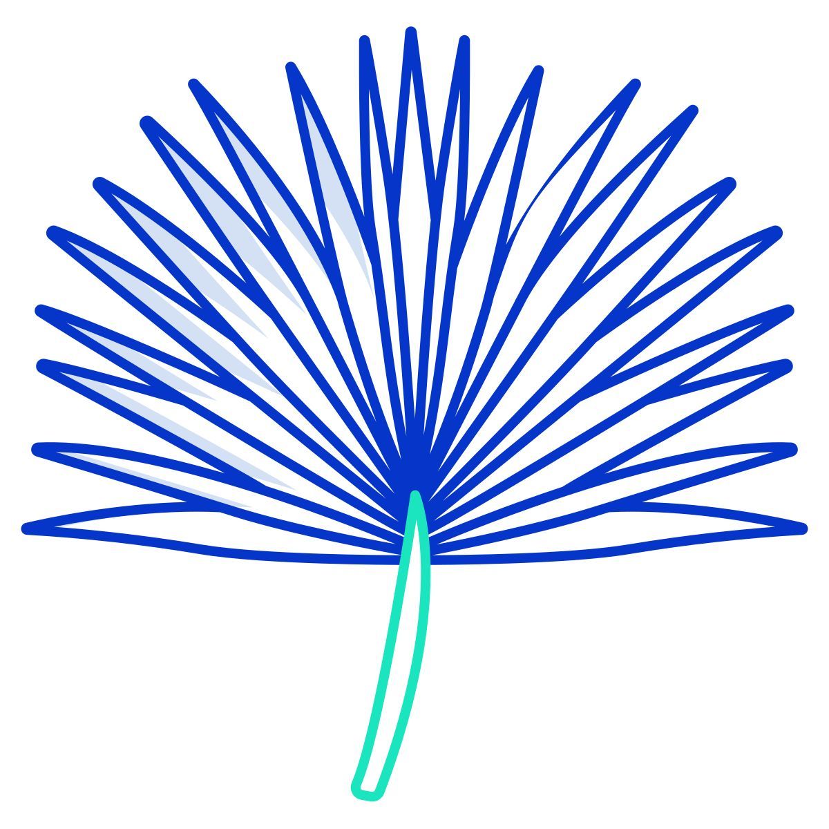 petticoat icon